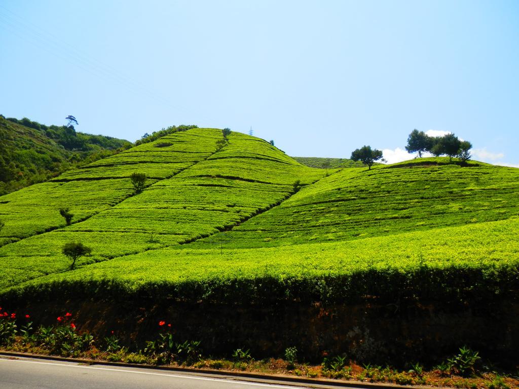 Eranga Guest Hotel Nuwara Eliya Ngoại thất bức ảnh
